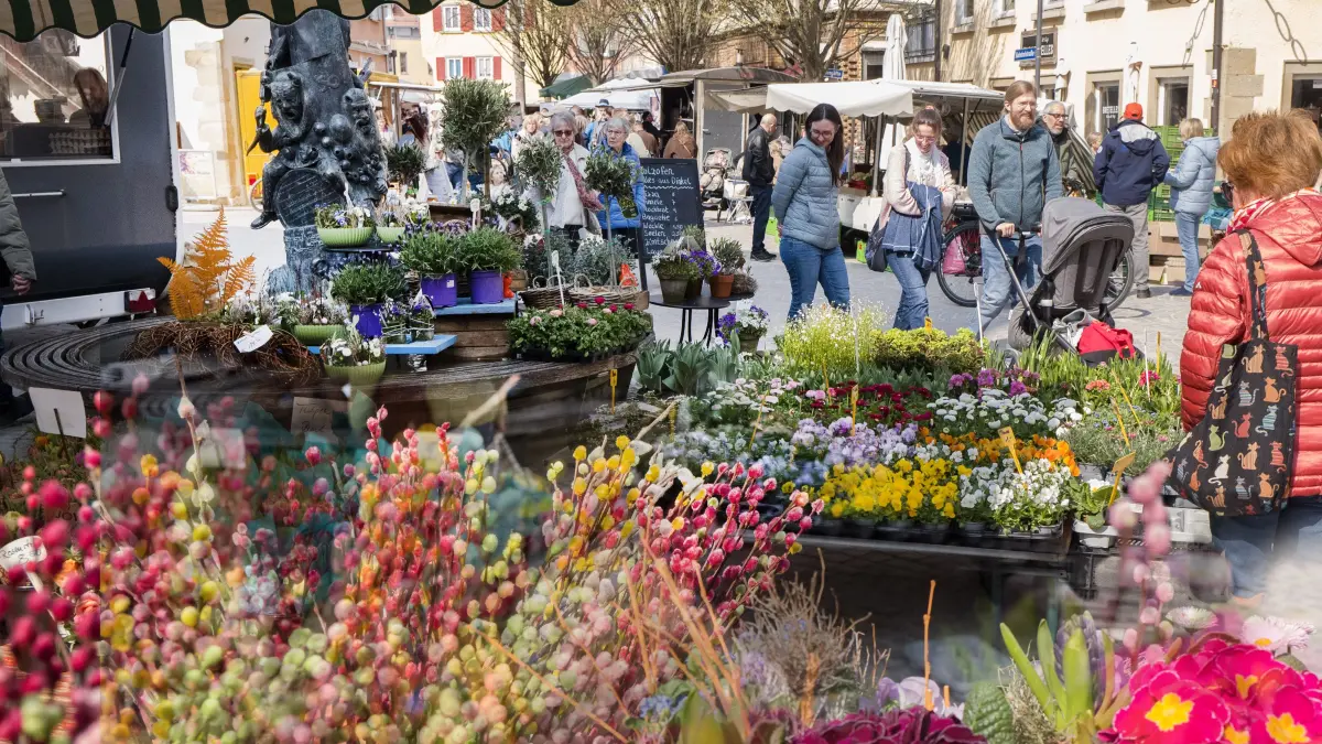 Frühjahrsmarkt am Marktplatz